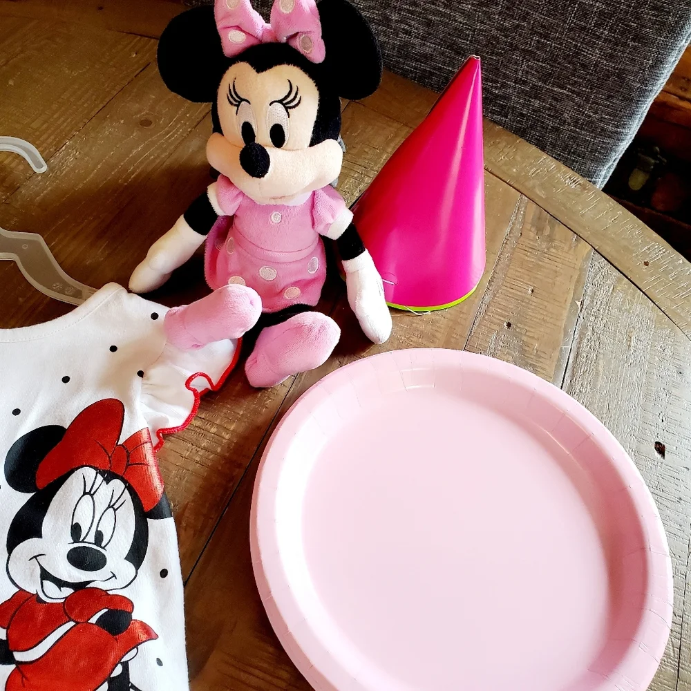 Disney Mini Mouse Girl Birthday Bundle, Tutu Dress, Banner, Party Supplies 2T